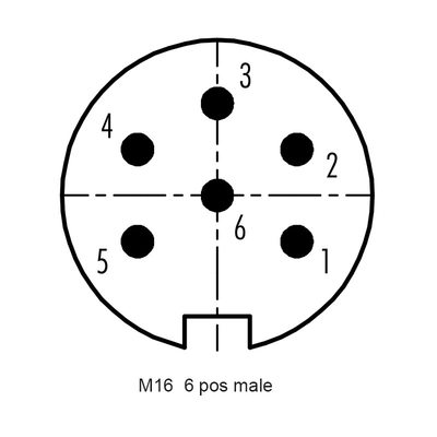 Conector protegido asamblea recta masculina del tornillo del conector 6P de RIGOAL PA66 M16